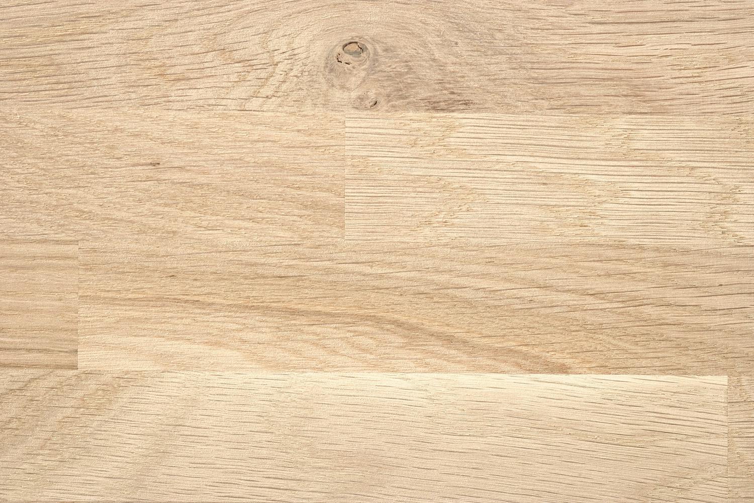 Slik beskytter du eiketre